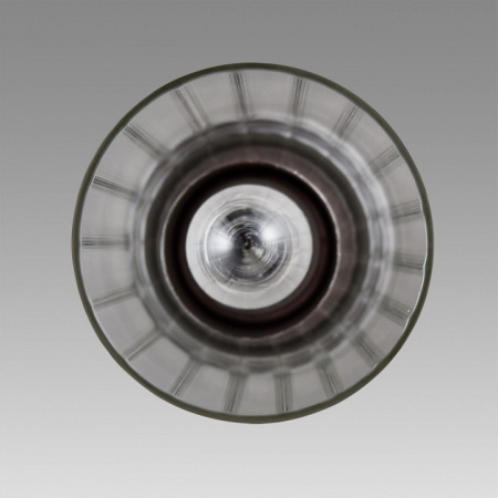 Фото Подвесной светильник Lumion Isha 8102/1A