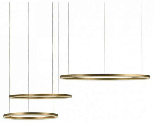 Открыть Подвесной светильник Loft it Ring 10017/3M Фото Подвесной светильник Loft it Ring 10017/3M