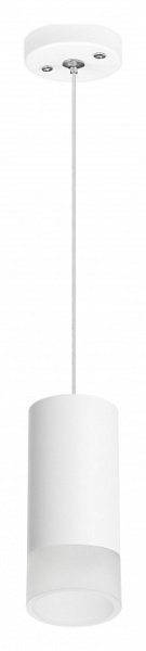 Фото Подвесной светильник Lightstar Rullo RP43631