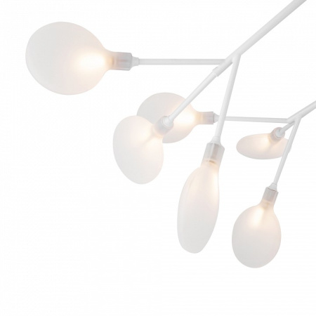 Фото Потолочная люстра Freya Florencia FR5049CL-27W2