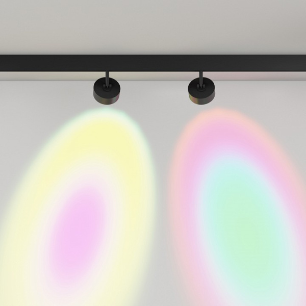 Фото Светильник на штанге Maytoni Lens TR217-2-15W3K-B