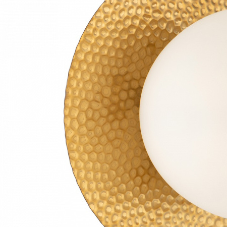 Фото Накладной светильник Freya Camelia FR5202WL-01BS