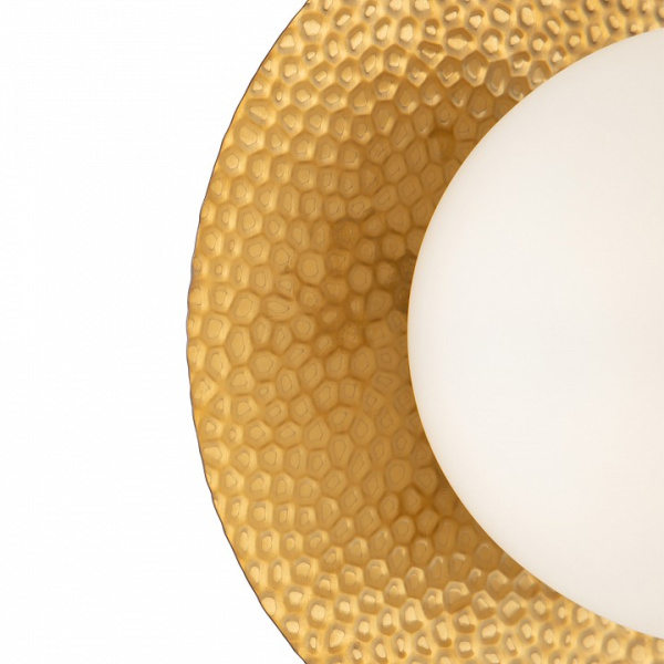 Фото Накладной светильник Freya Camelia FR5202WL-01BS