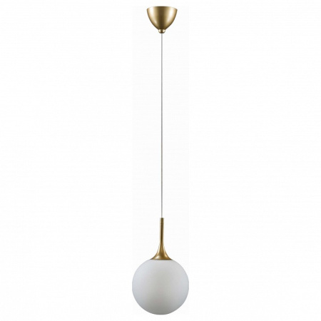 Фото Подвесной светильник Lightstar Globo 813022