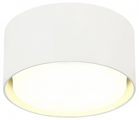 Фото Накладной светильник ST-Luce ST164 ST164.502.01