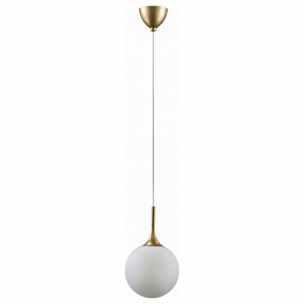 Фото Подвесной светильник Lightstar Globo 813022