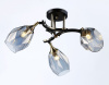 Открыть Люстра на штанге Ambrella Light TR TR303038 Фото Люстра на штанге Ambrella Light TR TR303038