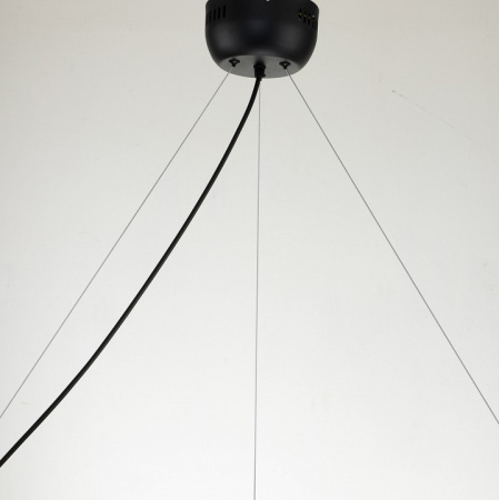 Фото Подвесная люстра Favourite Light point 2997-9P