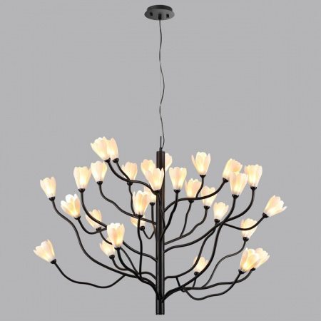 Фото Подвесная люстра Odeon Light Gardi 5090/30