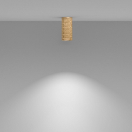 Фото Накладной светильник Maytoni Focus Design C036CL-01G