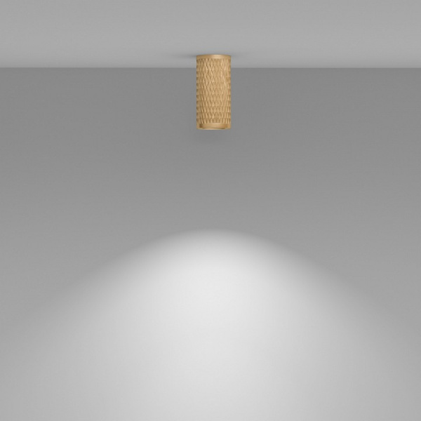 Фото Накладной светильник Maytoni Focus Design C036CL-01G