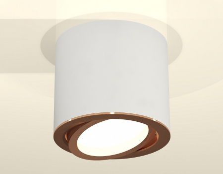 Открыть Накладной светильник Ambrella Light XS XS7401005 Фото Накладной светильник Ambrella Light XS XS7401005