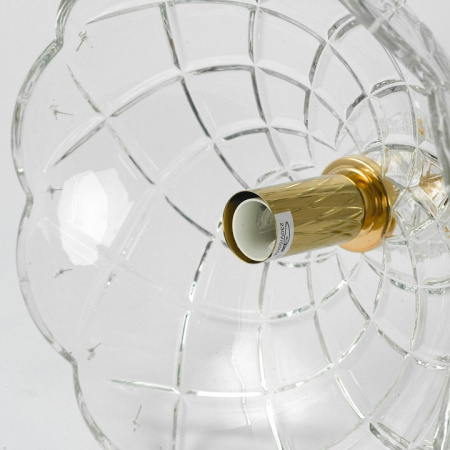 Фото Подвесной светильник Lussole Hesperia LSP-8836