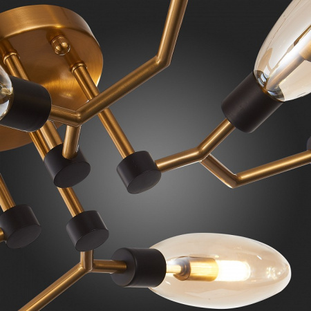 Фото Потолочная люстра ST-Luce Desima SL1174.302.08