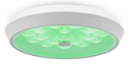 Фото Накладной светильник Freya Cells FR10012CL-L24W