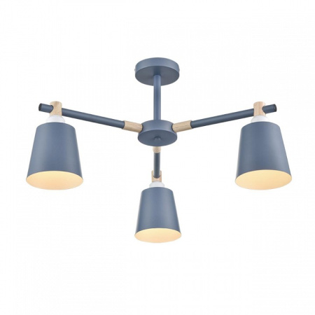 Фото Люстра на штанге Lumion Rosalina 8098/3C