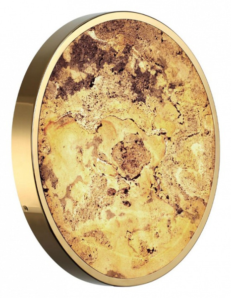 Фото Накладной светильник Odeon Light Bergi 5079/40L