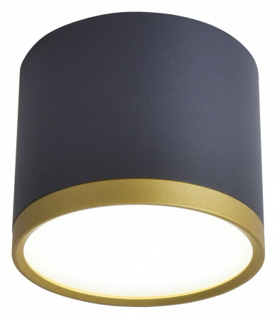 Фото Накладной светильник Favourite Baral 3081-2C