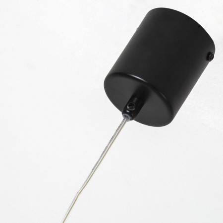 Фото Подвесной светильник F-promo Altus 4220-1P