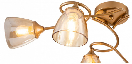 Фото Потолочная люстра Escada Celosia 1112/6P