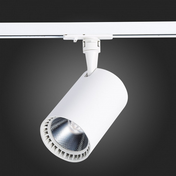 Фото Светильник на штанге ST-Luce Cami ST351.546.30.36