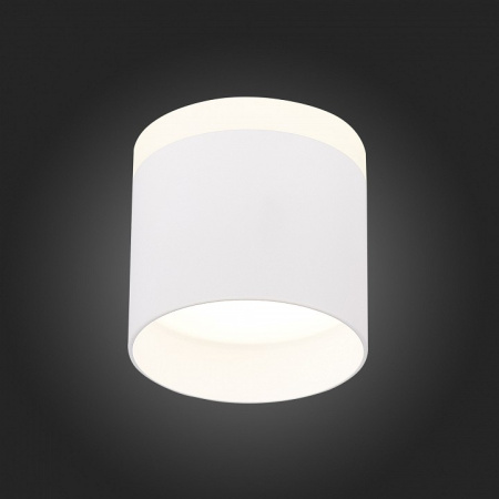 Фото Накладной светильник ST-Luce Panaggio ST102.542.09