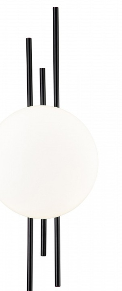 Фото Накладной светильник Indigo Astro 14007/1W Black
