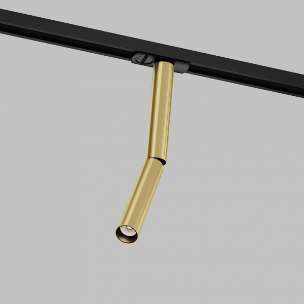 Фото Светильник на штанге Maytoni Focus T TR142-1-6W3K-BS