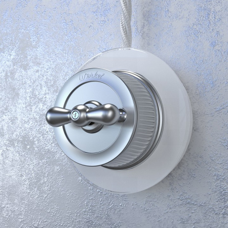 Фото Выключатель одноклавишный Werkel Ретро (матовый хром) WL19-01-03