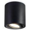 Открыть Накладной светильник Ambrella Light TN TN22702 Фото Накладной светильник Ambrella Light TN TN22702