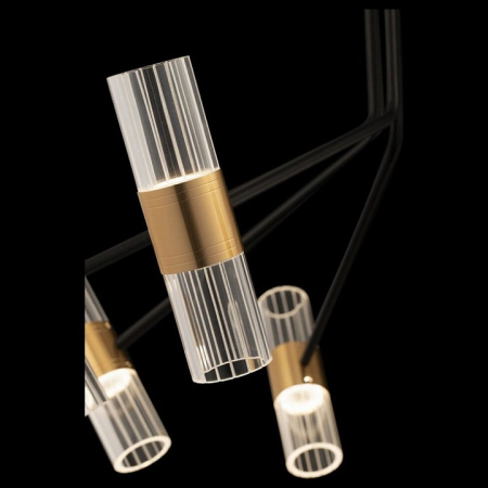 Фото Потолочная люстра Freya Mia FR6038CL-L60B