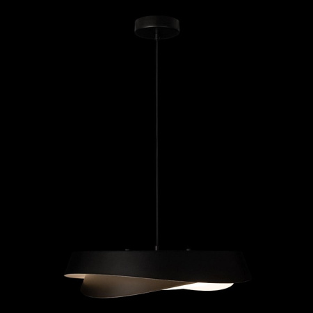 Фото Подвесной светильник Loft it Petale 10256P Black