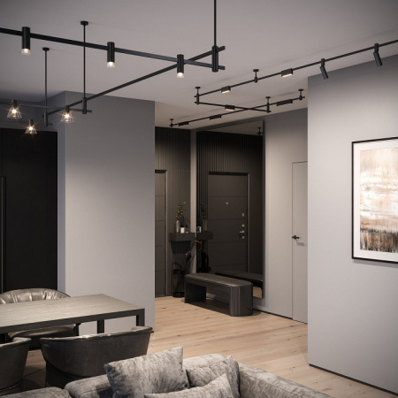 Фото Накладной светильник Elektrostandard Esthetic Magnetic a065424