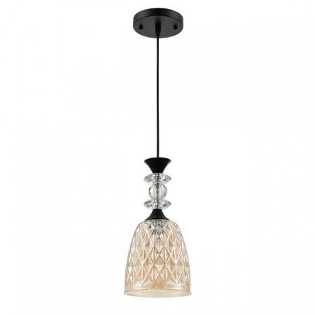 Фото Подвесной светильник Lumion Elenika 8056/1А