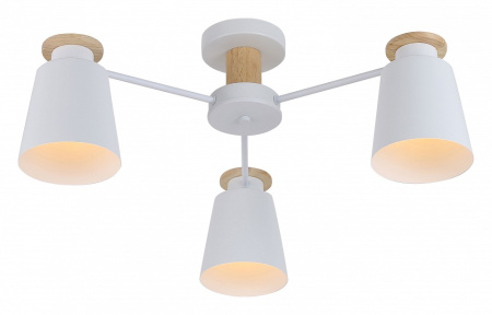 Фото Потолочная люстра Rivoli Adna Б0053435