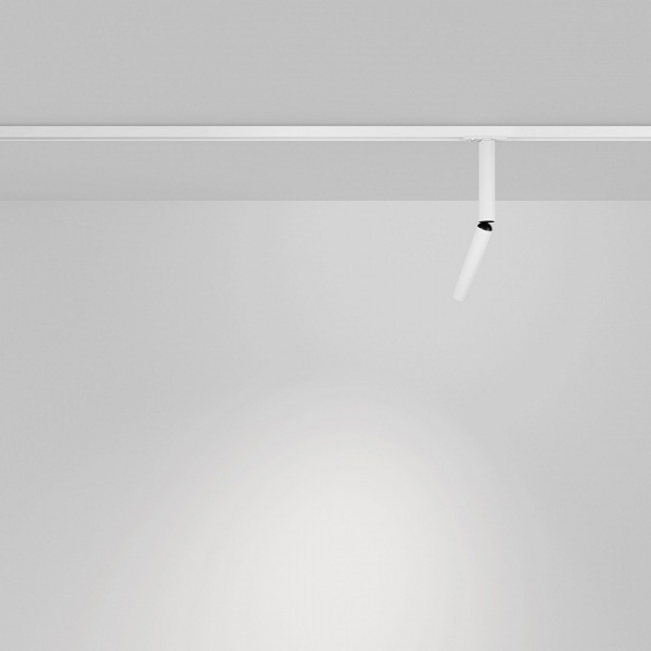 Фото Светильник на штанге Maytoni Focus T TR142-1-6W4K-W