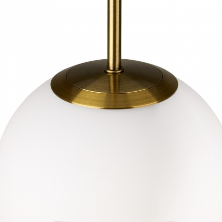 Фото Подвесной светильник Freya Sharlot FR1012PL-01BS1