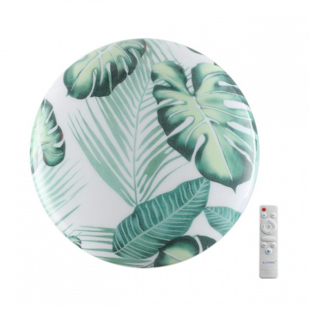 Открыть Накладной светильник Sonex Flori 7748/EL Фото Накладной светильник Sonex Flori 7748/EL