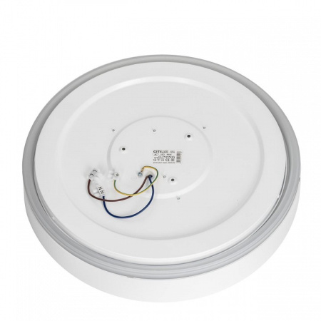 Фото Накладной светильник Citilux BOSS CL751350G