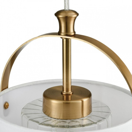 Фото Подвесной светильник Lumion Jane 6593/1