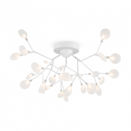 Фото Потолочная люстра Freya Florencia FR5049CL-27W2