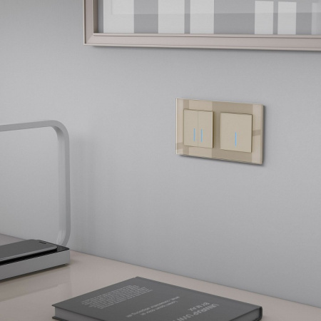 Фото Выключатель двухклавишный с подсветкой без рамки Werkel шампань W4520011