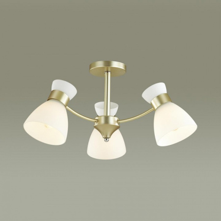 Фото Люстра на штанге Lumion Wilma 4535/3C