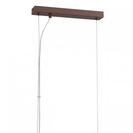 Фото Подвесной светильник Lumion Dana 8005/4A