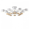 Открыть Потолочная люстра Lumion Rondo 8196/10C Фото Потолочная люстра Lumion Rondo 8196/10C