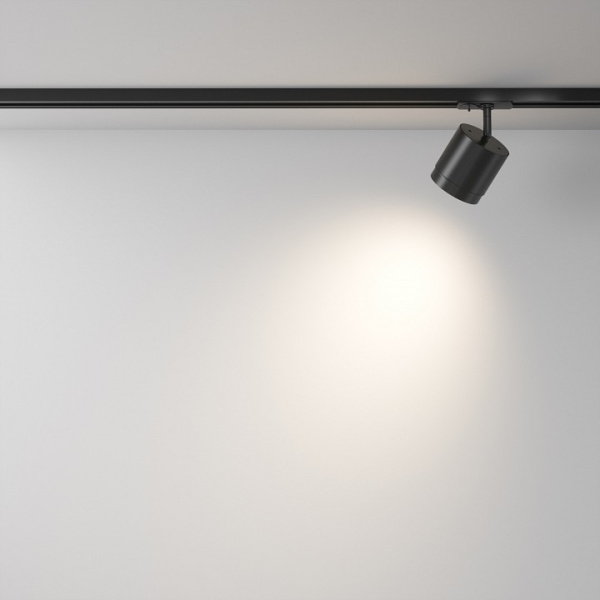 Фото Светильник на штанге Maytoni Polar TR088-1-GX53-B