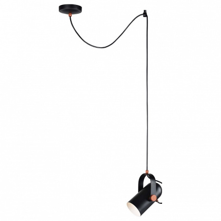 Фото Подвесной светильник Favourite Ampolla 2007-1P