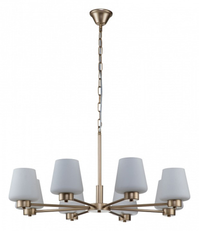 Открыть Подвесная люстра Indigo Tulip 13004/8P Gold Фото Подвесная люстра Indigo Tulip 13004/8P Gold