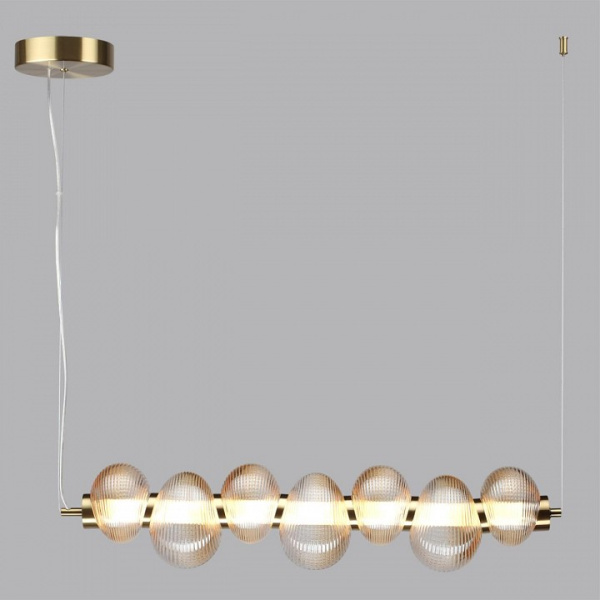 Фото Подвесной светильник Odeon Light Bruco 5095/24L