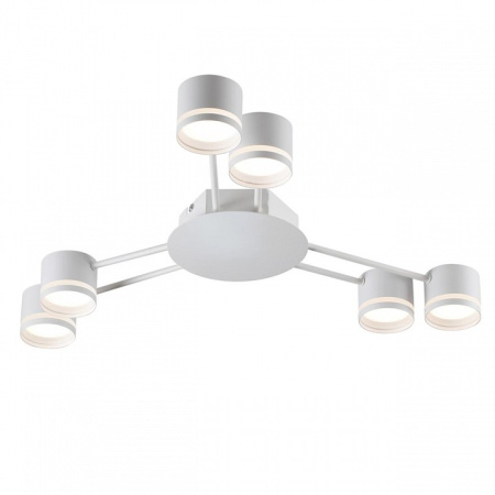 Фото Потолочная люстра Lumion Gareta 8235/6C